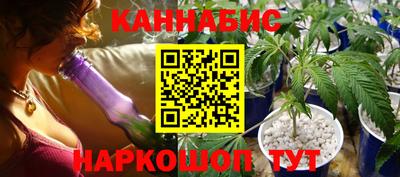 гашик Кулебаки