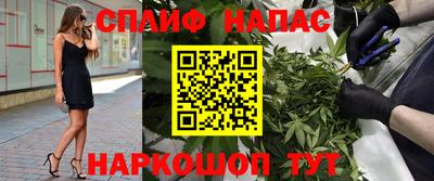 гашик Кулебаки