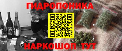 гашик Кулебаки