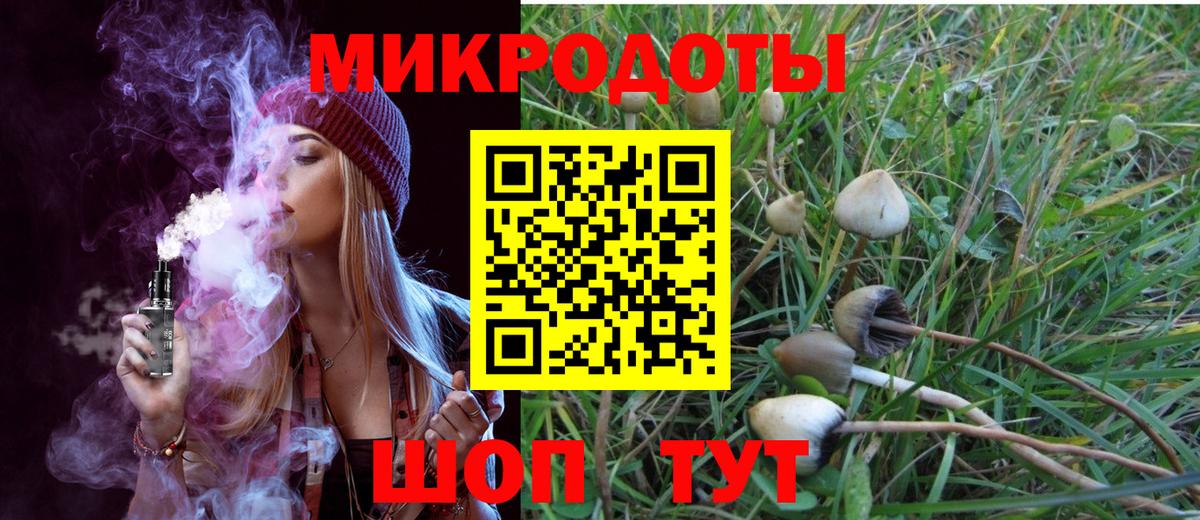 Галлюциногенные грибы MAGIC MUSHROOMS Вольск